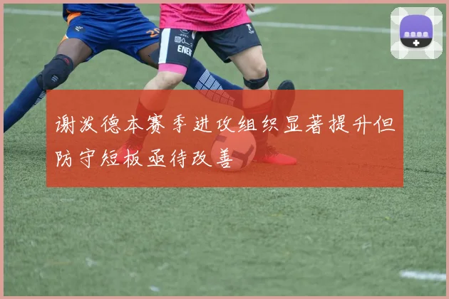 谢泼德本赛季进攻组织显著提升但防守短板亟待改善